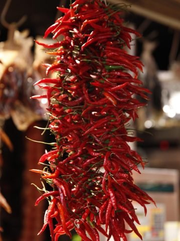 food, chilli pepper, spices